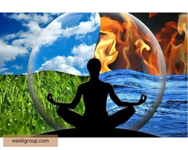 传统以太极与现代搏击实战对抗的理念碰撞与真伪之辨价值探索与现实思考